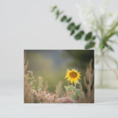 Sonnenblumennatur-Foto Postkarte (Stehend Vorderseite)