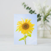 Sonnenblumennatur-Foto Postkarte (Stehend Vorderseite)
