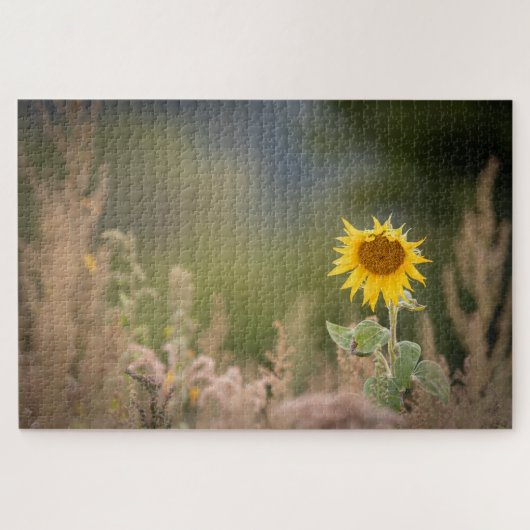 Sonnenblumennatur-Foto Puzzle (Horizontal)