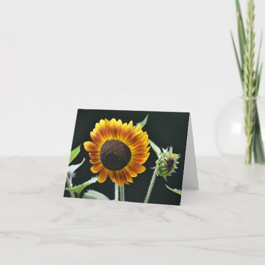 Sonnenblumennotecard Karte (Vorderseite)