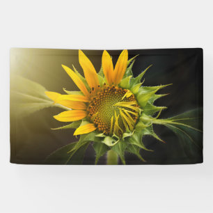 Sonnenblumenöffnung in Vollblut Banner