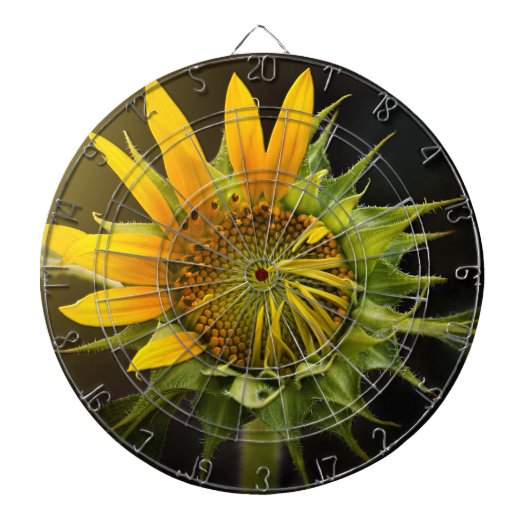 Sonnenblumenöffnung in Vollblut Dartscheibe (vorne)