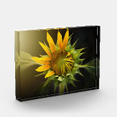 Sonnenblumenöffnung in Vollblut Fotoblock (Links)