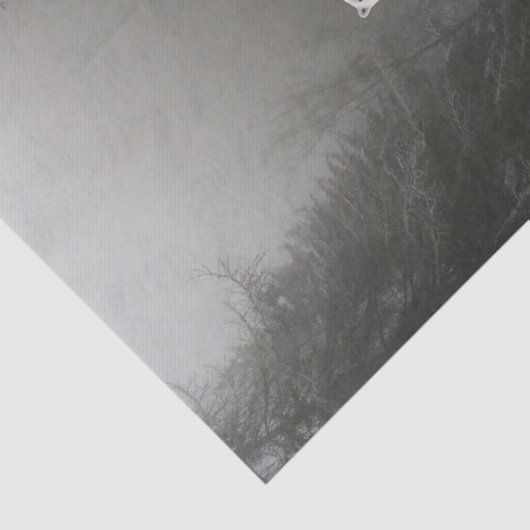 Sonnenblumenpapier für den Polarbär Seidenpapier (Ausschnitt)