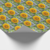 Sonnenblumenpapier Geschenkpapier (Ecke)