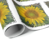 Sonnenblumenpapier Geschenkpapier (Rolleneckpunkt)