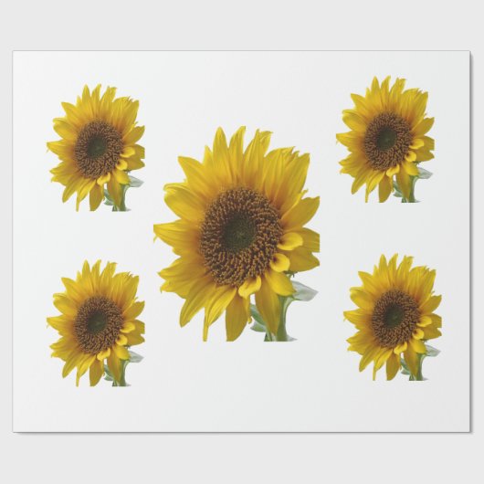 Sonnenblumenpapier Geschenkpapier (Flach)