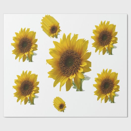Sonnenblumenpapier Geschenkpapier (Flach)