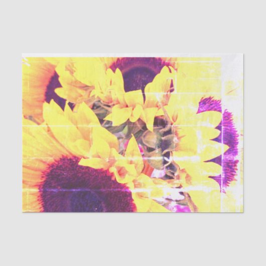 Sonnenblumenpapier Seidenpapier (Vorderseite)