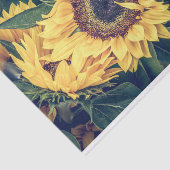 Sonnenblumenpapier Seidenpapier (Ausschnitt)