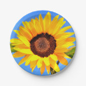 Sonnenblumenpapier-Teller Pappteller (Vorderseite)
