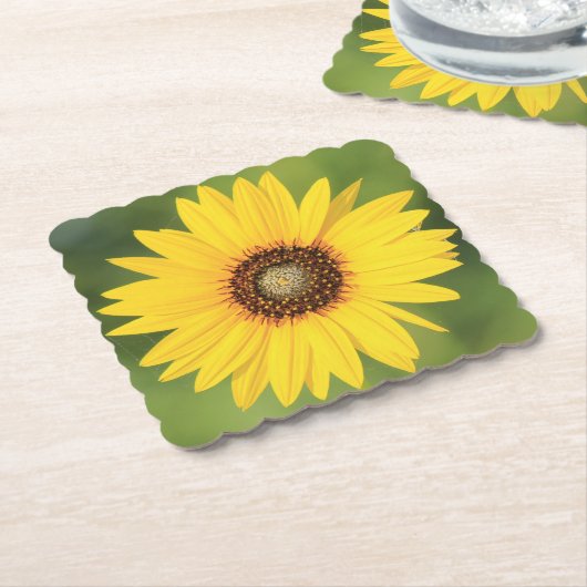 Sonnenblumenpapier-Untersetzer Untersetzer (angewinkelt)
