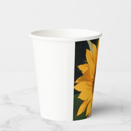 Sonnenblumenpapierkups Pappbecher (Rechts)