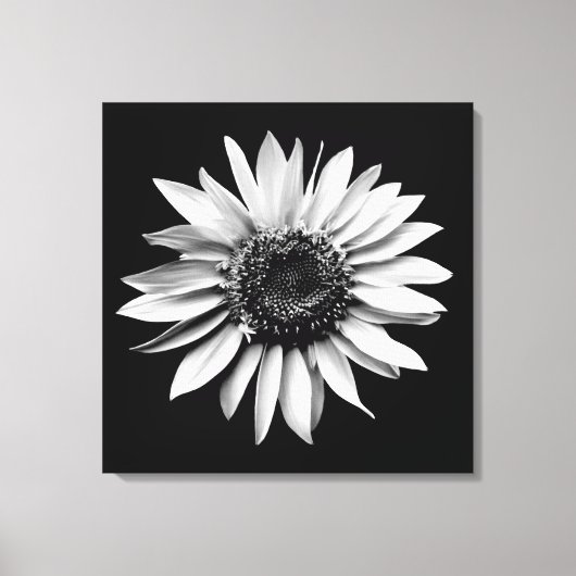 'Sonnenblumenportrait' gepackte Canvas Print Leinwanddruck (Vorderseite)