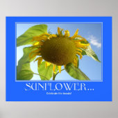 Sonnenblumenposter Poster (Vorne)