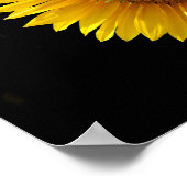 Sonnenblumenposter Poster (Ecke)