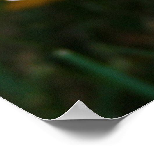 Sonnenblumenposter Poster (Ecke)