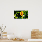 Sonnenblumenposter Poster (Küche)
