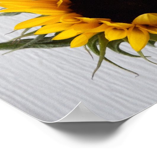 Sonnenblumenposter Poster (Ecke)
