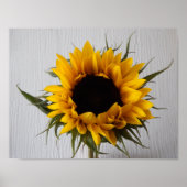 Sonnenblumenposter Poster (Vorne)