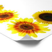 Sonnenblumenrahmen ohne Hintergrund Poster (Ecke)