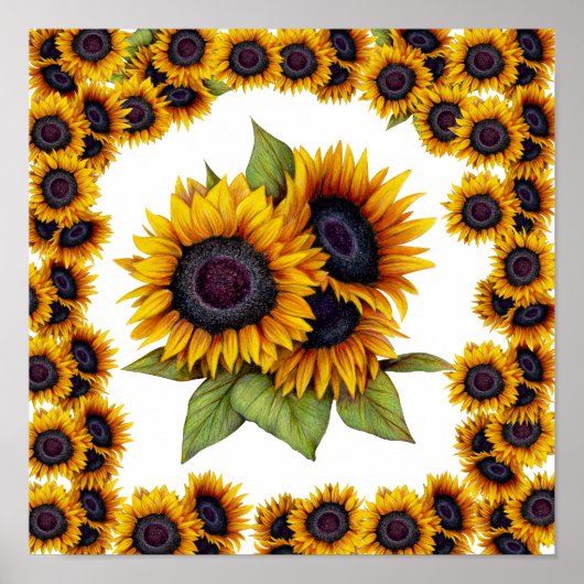 Sonnenblumenrand Poster (Vorne)