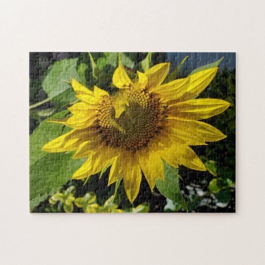 Sonnenblumenrätsel Puzzle (Horizontal)