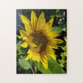 Sonnenblumenrätsel Puzzle (Vertikal)