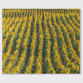 Sonnenblumenreihe Geschenkpapier (Flach)