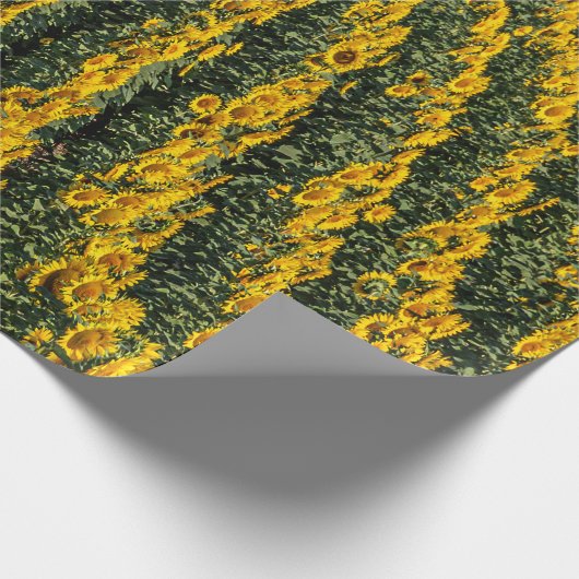 Sonnenblumenreihe Geschenkpapier (Ecke)