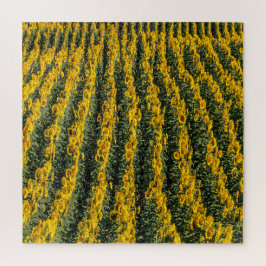 Sonnenblumenreihe Puzzle