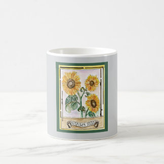 Sonnenblumensaat Verwandlungstasse