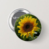 Sonnenblumenschaltfläche Button (Vorne & Hinten)