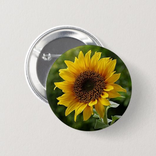 Sonnenblumenschaltfläche Button (Vorne & Hinten)