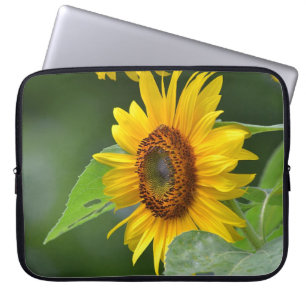 Sonnenblumenschläfer Laptopschutzhülle