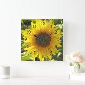 Sonnenblumenserenade Quadratische Wanduhr (Zuhause)