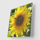 Sonnenblumenserenade Quadratische Wanduhr (Winkel)