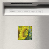 Sonnenblumenserie Magnet (In Situ (Geschirrspüler))