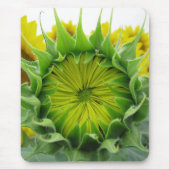 Sonnenblumenserie Mousepad (Vorne)