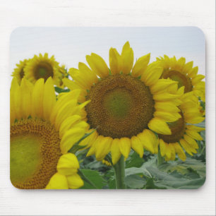 Sonnenblumenserie Mousepad