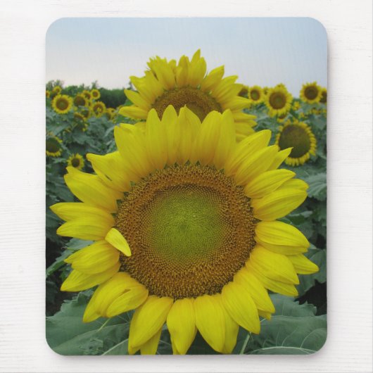 Sonnenblumenserie Mousepad (Vorne)