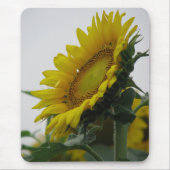 Sonnenblumenserie Mousepad (Vorne)