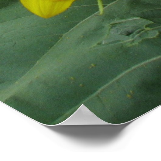 Sonnenblumenserie Poster (Ecke)