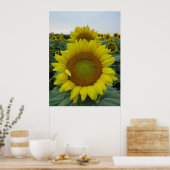 Sonnenblumenserie Poster (Küche)