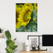 Sonnenblumenserie Poster (Heimbüro)