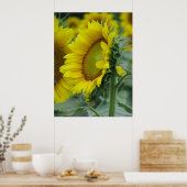Sonnenblumenserie Poster (Küche)