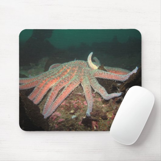 Sonnenblumensestern - Mousepad (Mit Mouse)