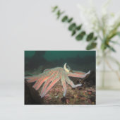 Sonnenblumensestern - Postkarte (Stehend Vorderseite)