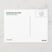 Sonnenblumensestern - Postkarte (Rückseite)