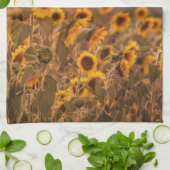 Sonnenblumensonne in ländlicher Feldfarbe Geschirrtuch (Gefaltet)